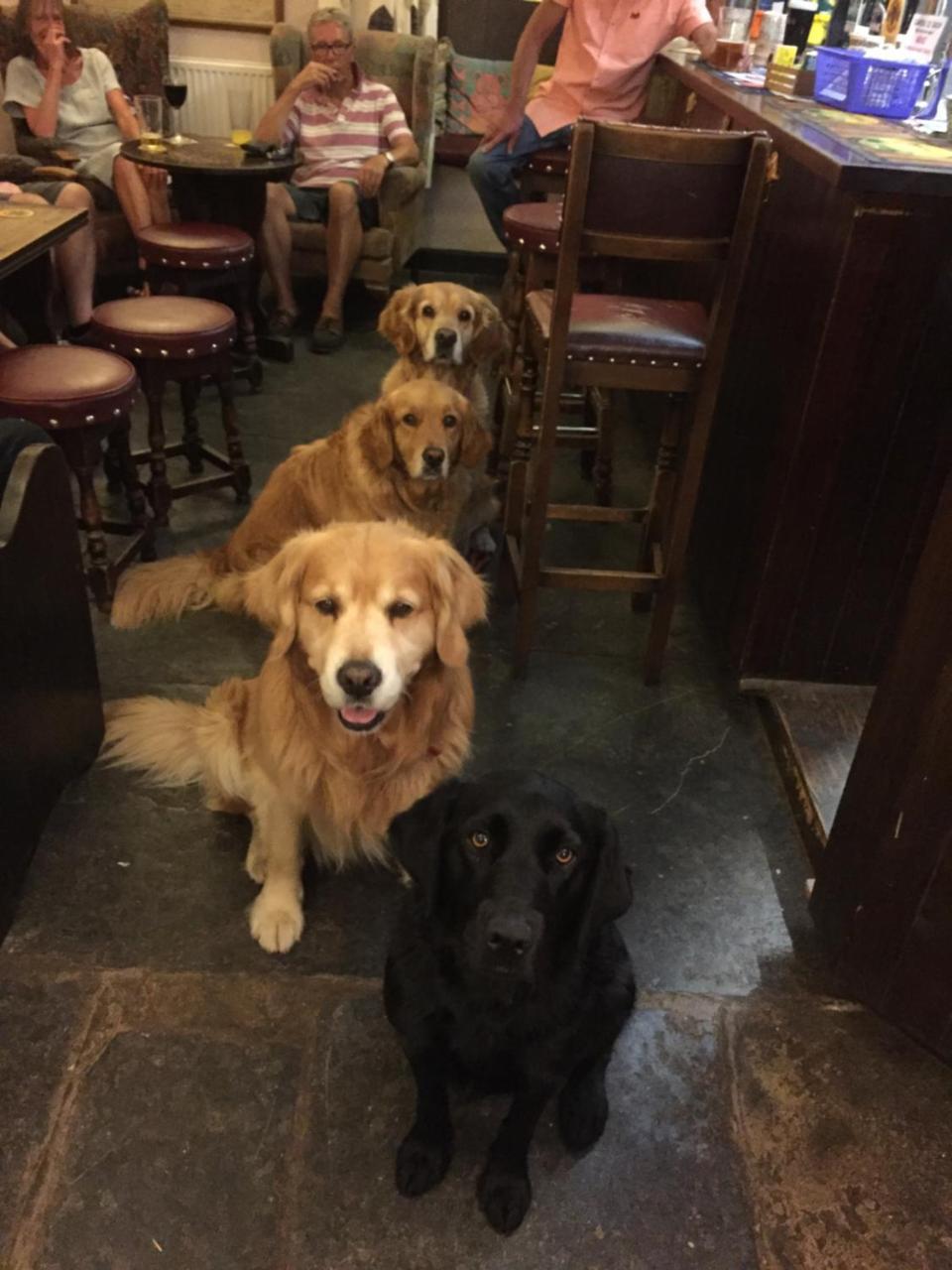 The Mitre Inn Sherborne  Bagian luar foto